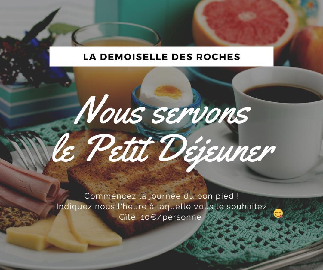 דירות Ramonchamp Demoiselle Des Roches מראה חיצוני תמונה